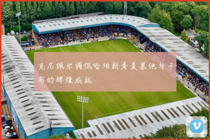 克尼佩尔调侃哈珀新秀羡慕他与卡布的辉煌成就